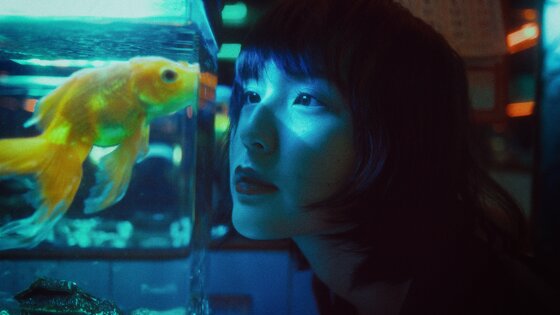 Eine Frau sitzt vor einem erleuchteten Aquarium und schaut fasziniert hinein. | © pexels