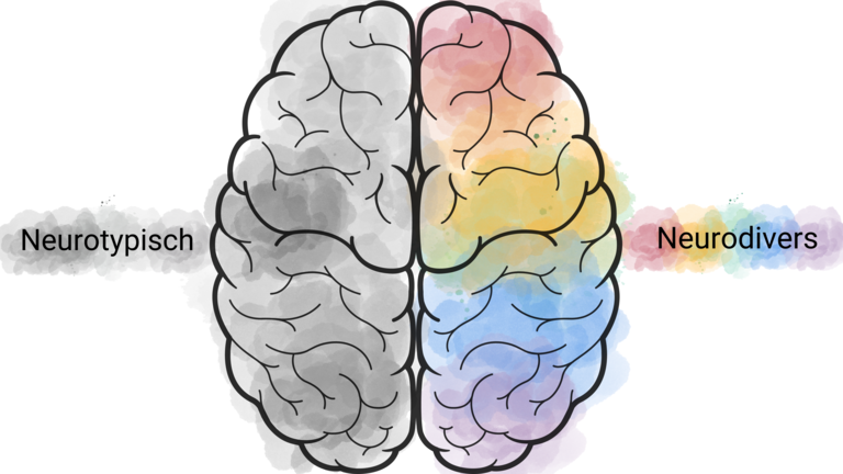Die Grafik eines Gehirns, die eine Hälfte ist grau, die andere bunt. Neben der grauen Hälfte steht "neurotypisch" neben der bunten "neurodivers".  | © Stiftung MyHandicap / EnableMe