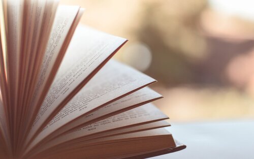Un livre à pages ouvertes. | © pixabay