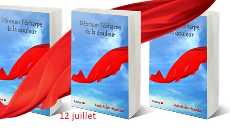 Sur la couverture du livre, on voit un foulard rouge sur fond de ciel bleu.