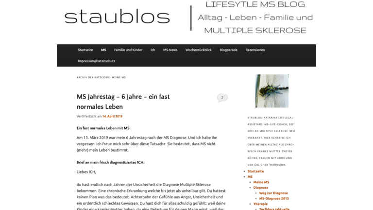 Screenshot von staublos.ch | © staublos.ch (screenshot)