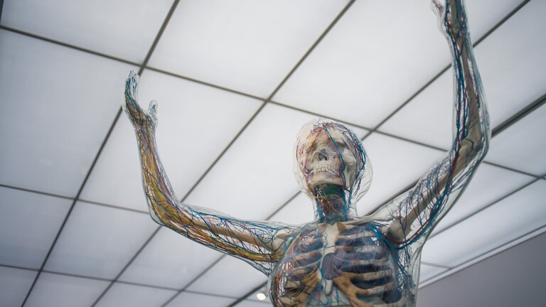 Le haut du corps d'une figure humaine. | © unsplash