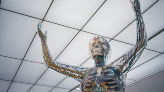 Der Oberkörper einer Figur des Menschen | © unsplash