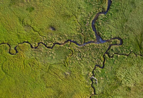 Vue aérienne d'une rivière avec différentes ramifications. | © pexels