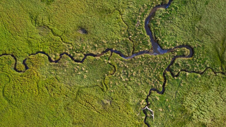 Vogelperspektive auf einen Fluss mit verschiedenen Abzweigungen. | © pexels