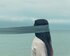 Mädchen mit Schleier steht am Meer. | © unsplash