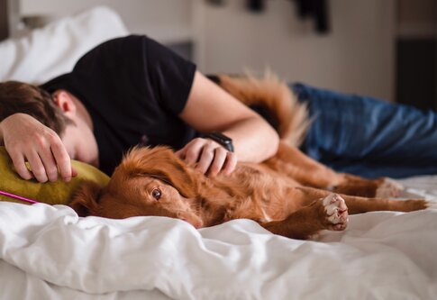 Un homme et un chien sont couchés sur un lit. | © unsplash