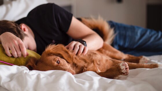 Un homme et un chien sont couchés sur un lit. | © Unsplash