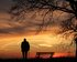 Das Bild zeigt die Umrisse eines älteren Herrn, der auf einer Wiese neben einer Bank steht und in Richtung Sonnenuntergang schaut. Neben der Bank steht ein großer Baum. | © pixabay