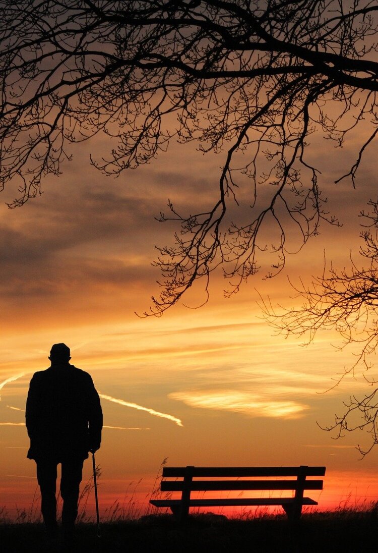 Das Bild zeigt die Umrisse eines älteren Herrn, der auf einer Wiese neben einer Bank steht und in Richtung Sonnenuntergang schaut. Neben der Bank steht ein großer Baum. | © Pixabay