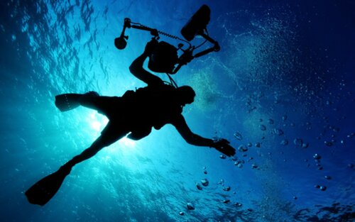 Eine tauchende Person unter Wasser fotografiert. | © pixabay