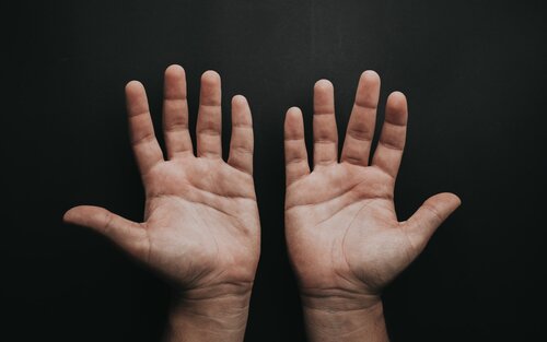 Fotos von zwei Händen, deren Flächen nach oben gerichtet sind. | © unsplash