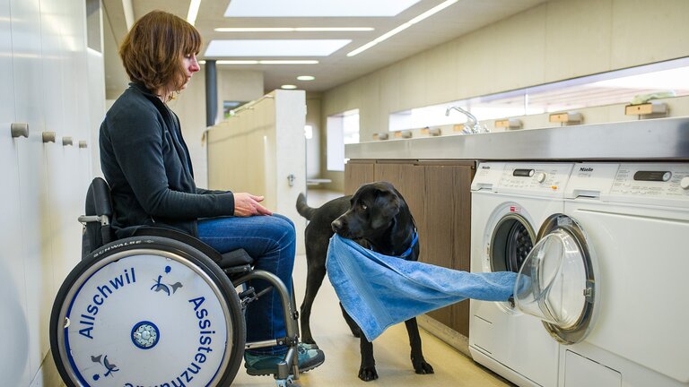 Ein Assistenzhund hilft dabei die Waschmaschine auszuräumen. | © Stiftung Schweizerische Schule für Blindenführhunde Allschwil