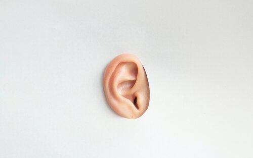 Ein Ohr, welches sich vor einer Wand befindet. | © unsplash