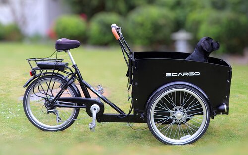Foto eines Cargobikes, in dessen Anhänger ein Hund sitzt. | © pixabay
