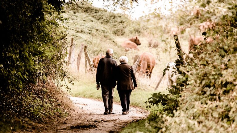 Couple de personnes âgées en promenade dans la forêt.  | © pixabay
