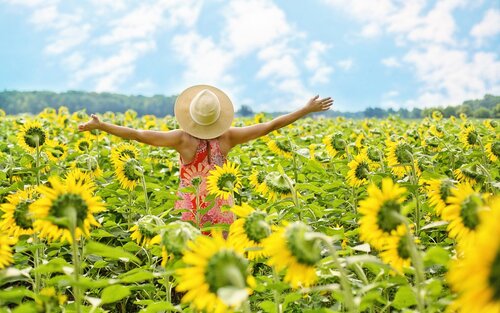 Eine Frau auf einem Feld voller Sonnenblumen.  | © Pixabay