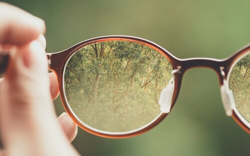 Wald, der durch ein entferntes Brillenglas scharf wird. | © unsplash