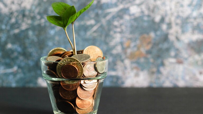 Ein Glass gefüllt mit Münzen und einer grünen Pflanze. | © unsplash