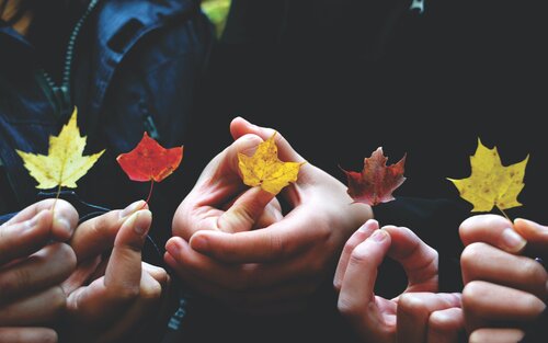 Verschiedenfarbige Blätter werden in die Luft gehalten. | © unsplash