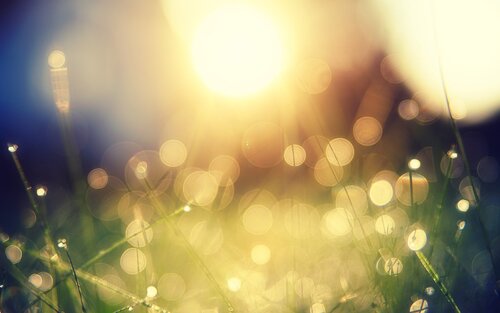 Sonne, die über einer Wiese aufgeht. | © pixabay