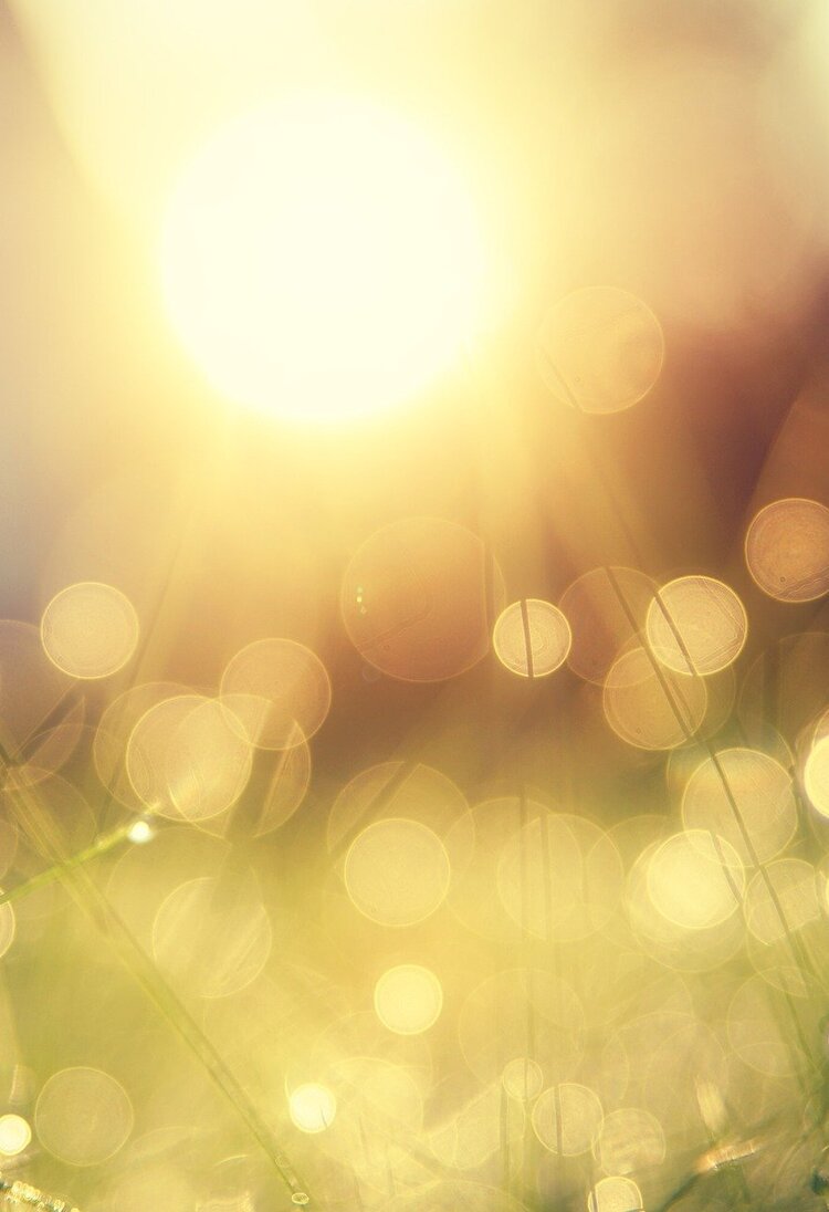 Sonne, die über einer Wiese aufgeht. | © Pixabay