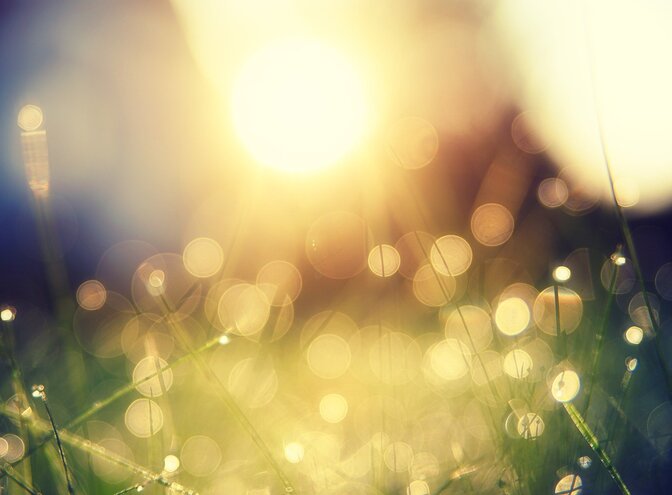 Soleil qui se lève sur une prairie. | © pixabay