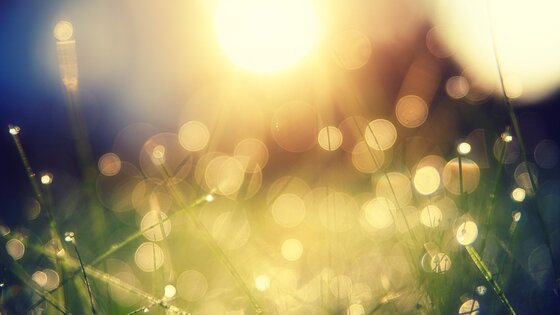 Sonne die über einer Wiese aufgeht. | © Pixabay