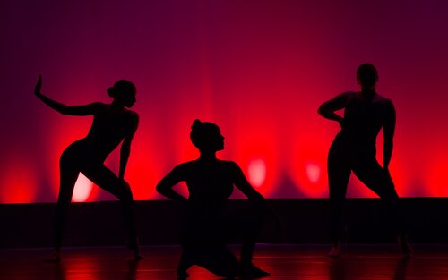 Silhouetten von vielen Tänzer:innen. | © unsplash