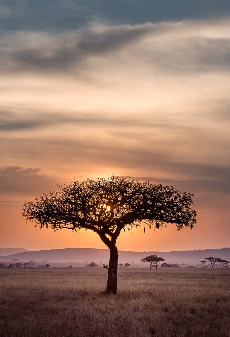 Afrika | © Unsplash